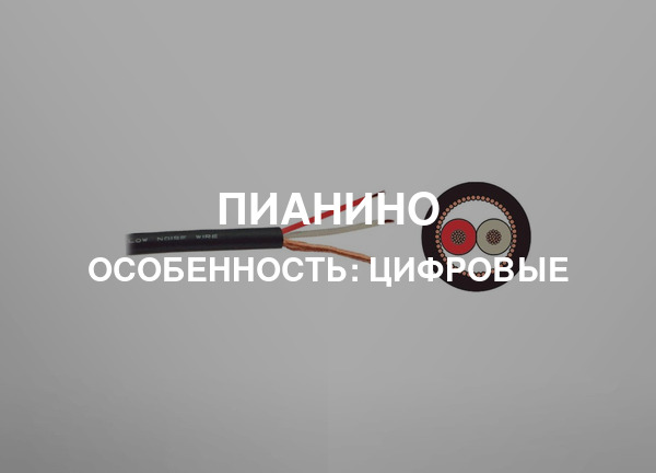 Особенность: Цифровые